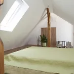 Riverside Flat With King Castle View Appartement *